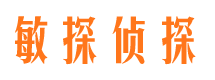 浮山私家侦探